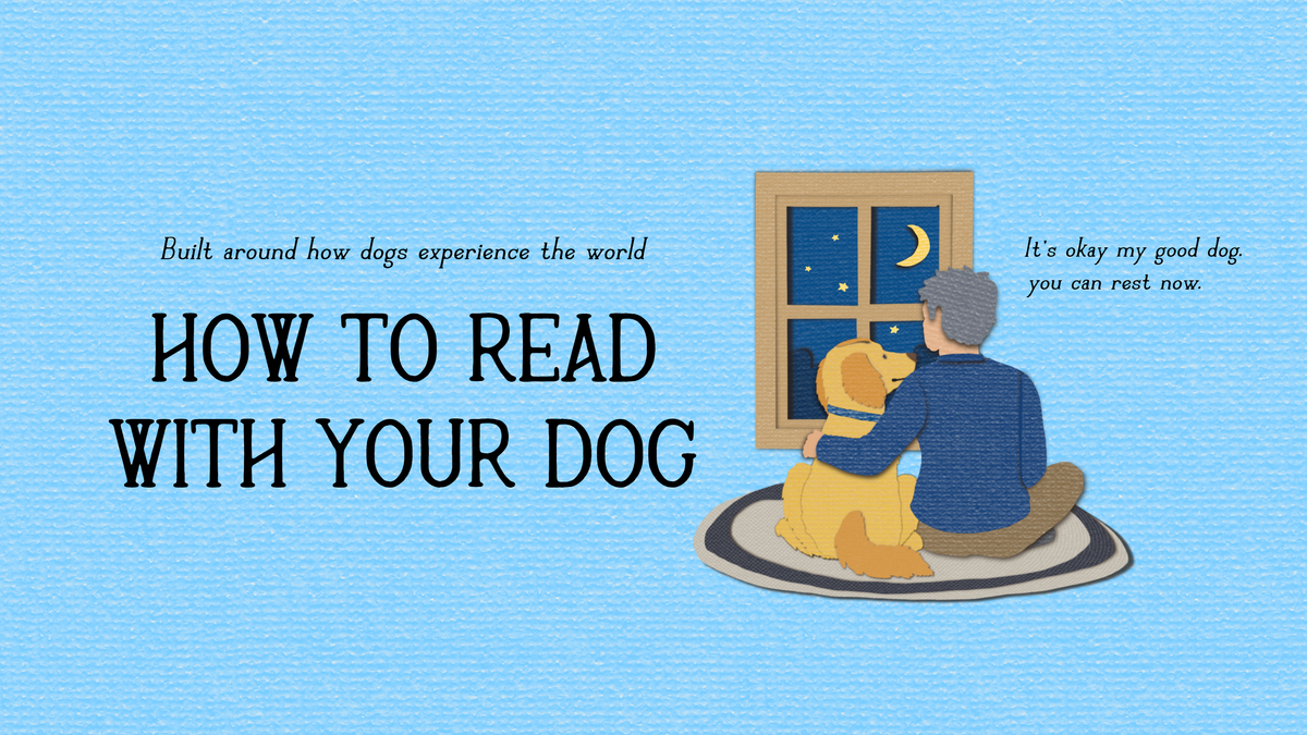 A digital graphic with a light blue textured background featuring the title 'HOW TO READ WITH YOUR DOG' and 'Built around how dogs experience the world.' in black text. On the right side, there is an illustration of a man sitting on a rug next to a yellow dog, looking out a window at a night sky with a crescent moon, with the text, 'It's okay my good dog. You can rest now.'