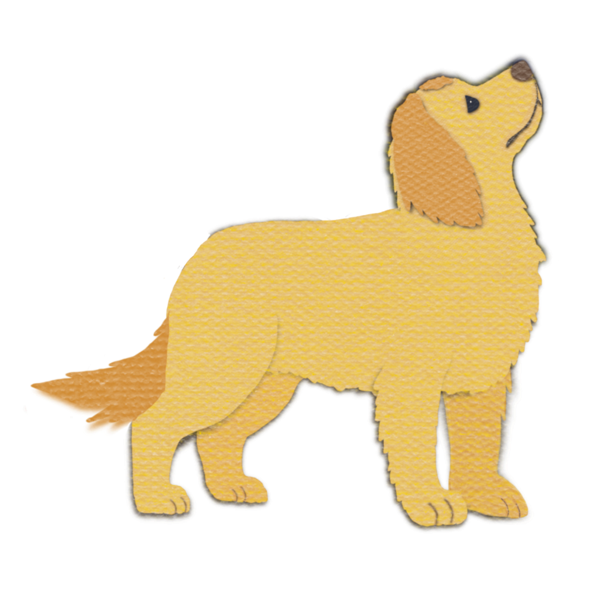 A stylized golden retriever dog illustration looking up on a plain white background, with a textured woven-like fill and a dark outline.