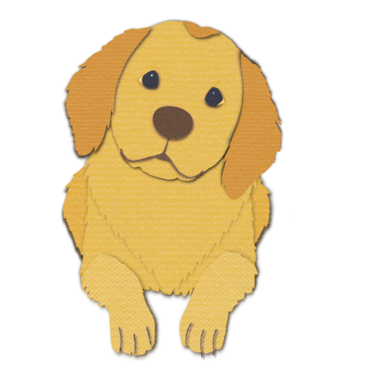 A textured yellow and golden-brown puppy with black eyes and a brown nose.